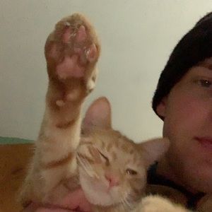 Meet your Posher, Michael